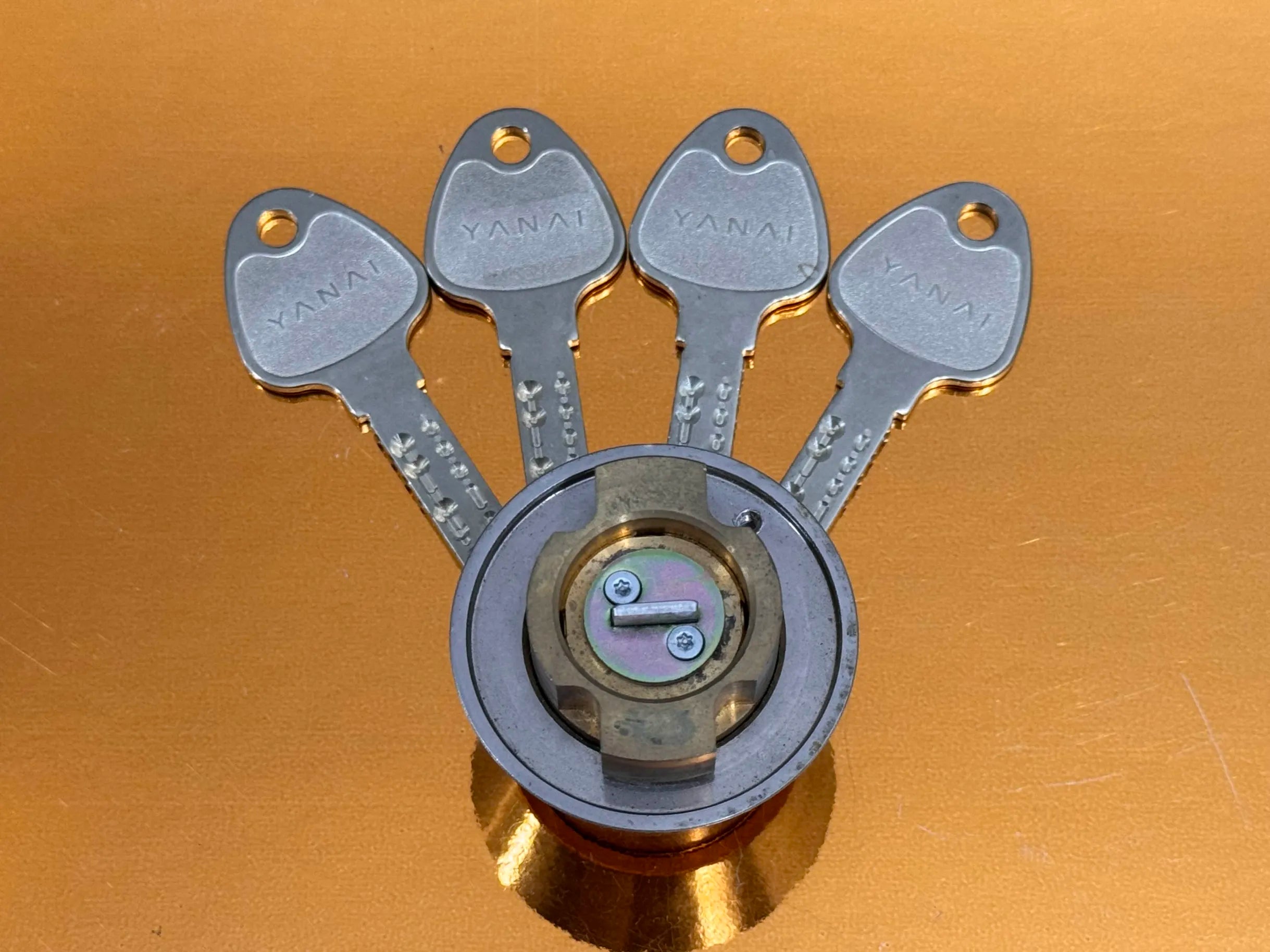 Yanai R 2200M - Black Belt 1