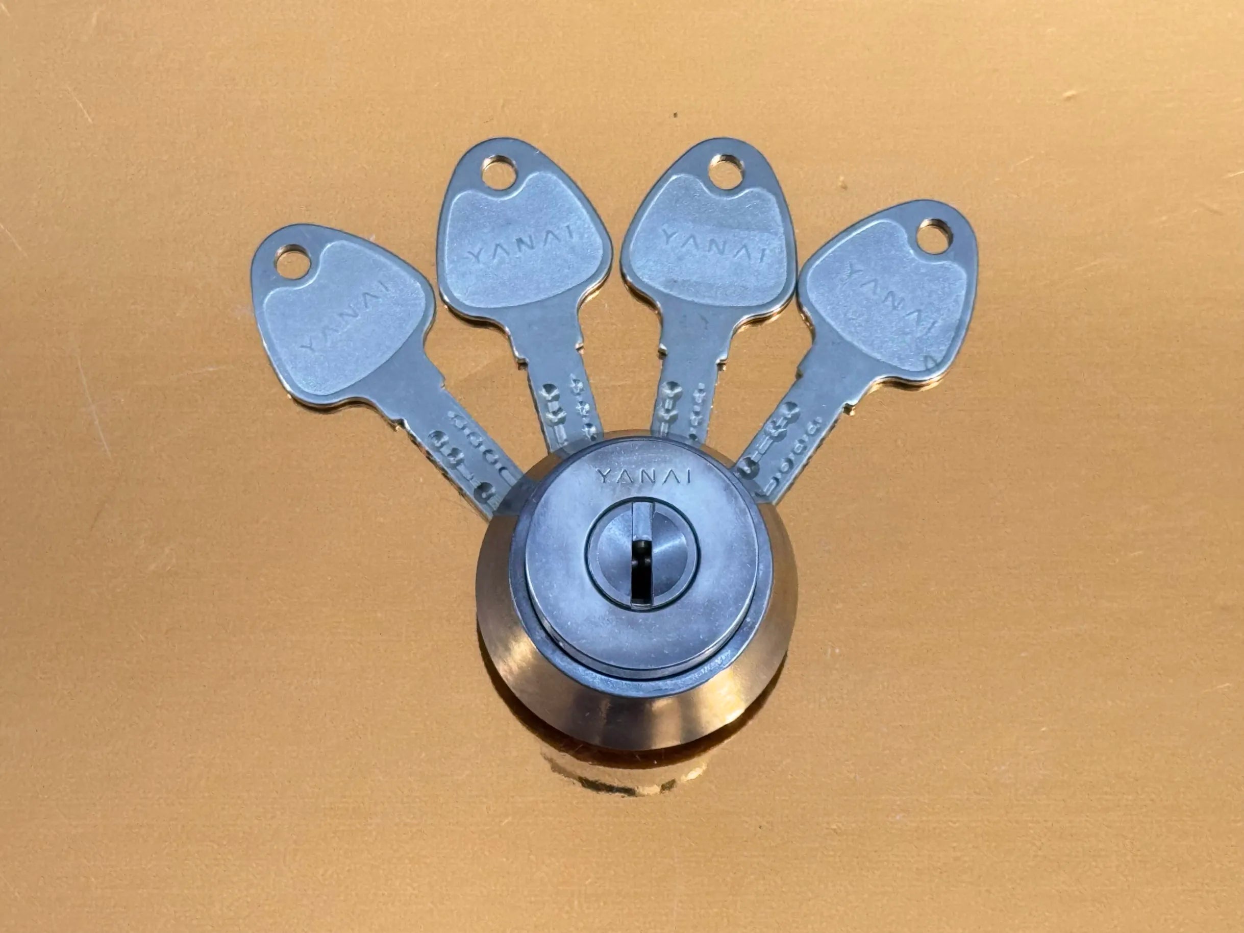 Yanai R 2200M - Black Belt 1